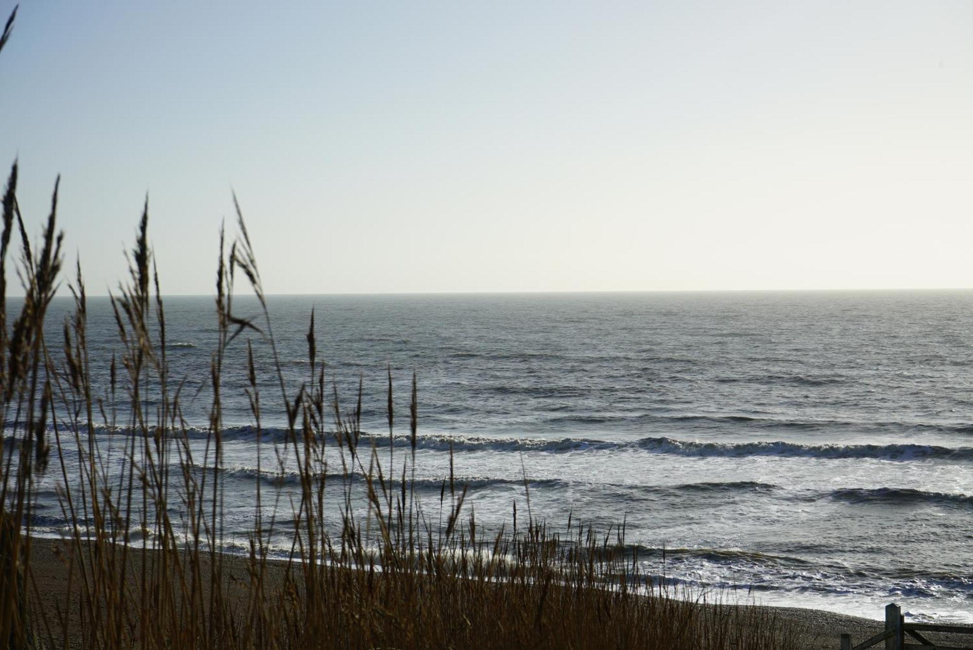 Golden Acre Jurassic Coastal Lodges ,Eype Bridport Bagian luar foto